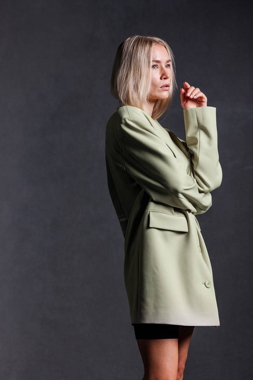 Karo Kauer Blazer Faded Green Neueste Mode