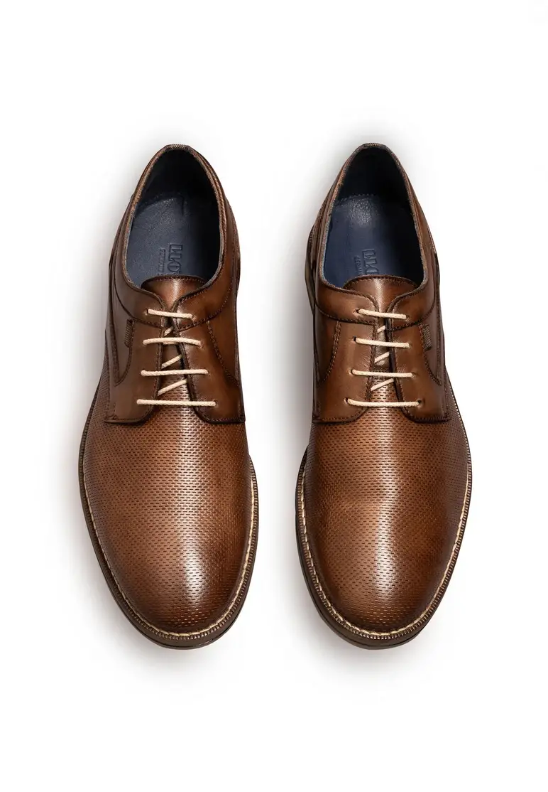 Lloyd DARCY Art. 14-071-13 Discount Store für neue Produkte