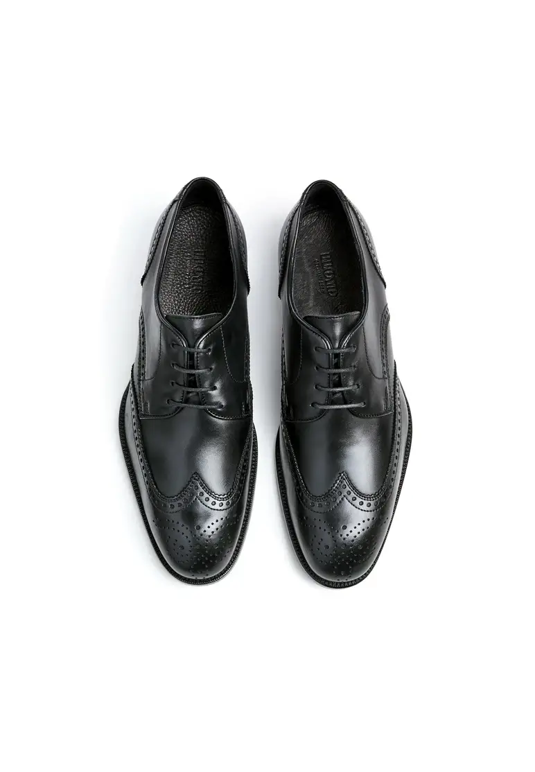 Lloyd STAFFORD Art. 23-716-00 Online Shopping