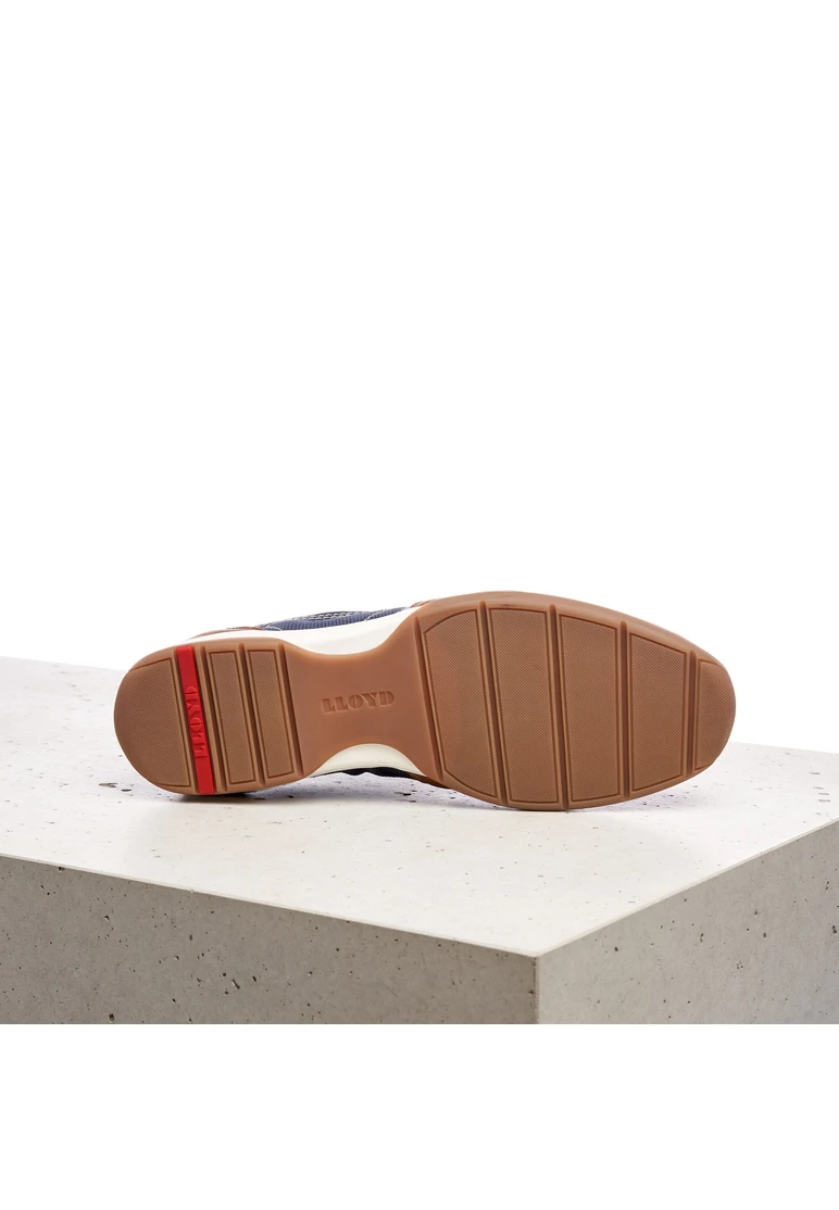 Lloyd BAILEY Art. 12-002-12 Begrenztes Angebot
