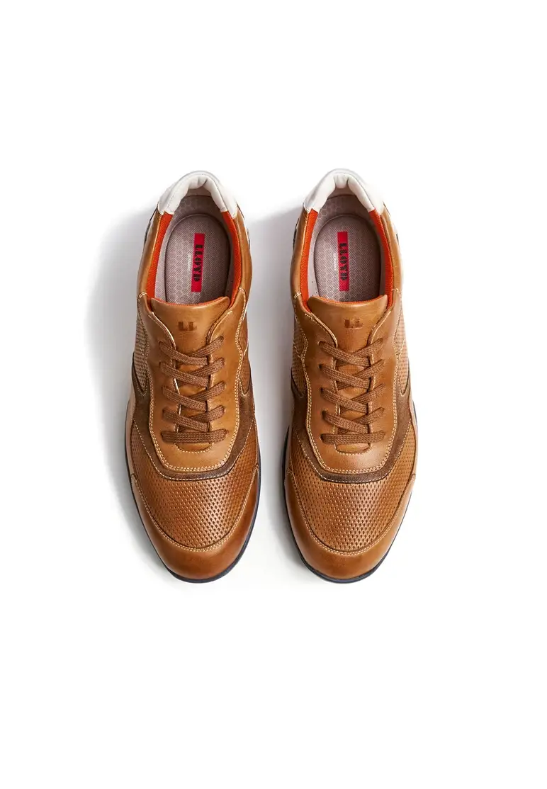 Lloyd BALTIMORE Art. 13-001-12 Black Friday