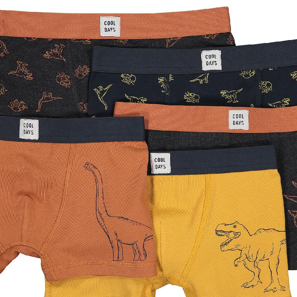 laredoute 5er-Pack Boxerpants "Dinosaurier" bunt LA REDOUTE COLLECTIONS Angebote